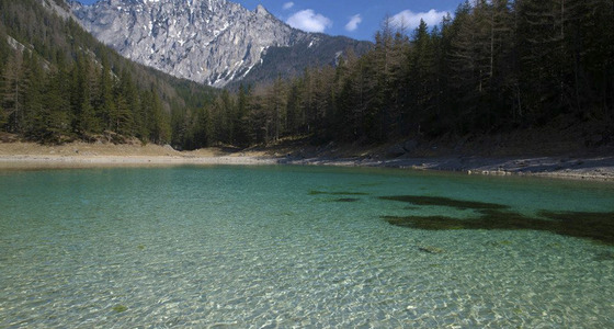 Large thumb pezi 1024 02