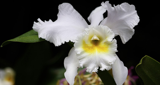 Large thumb  mg 3164