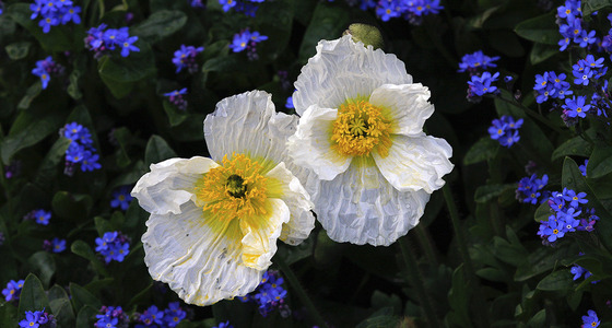 Large thumb  mg 2178