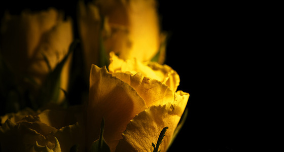 Large thumb pezi 9773 kopie