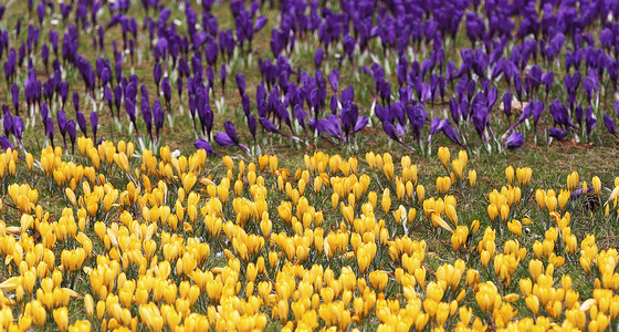 Large thumb img 0045 kopie