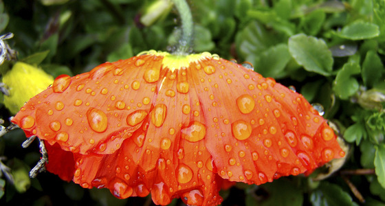 Large thumb dsc02239