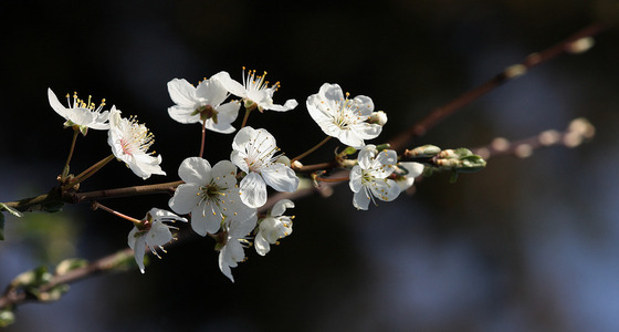 Large thumb 448 kopie