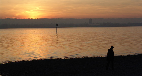 Large thumb dsc05224