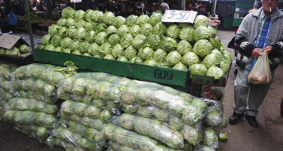 Large thumb dsc02052