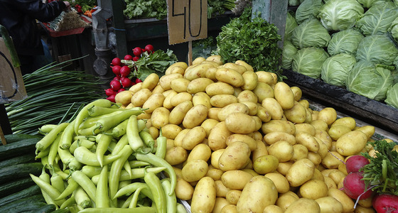 Large thumb dsc02058