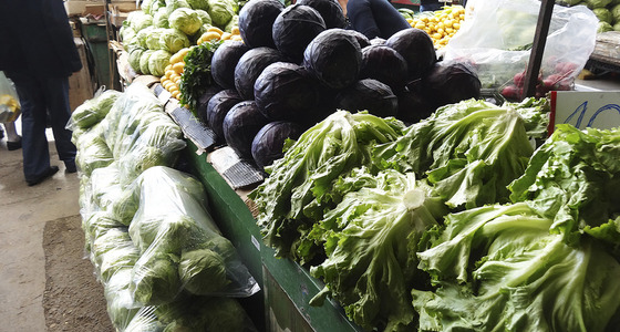 Large thumb dsc02055