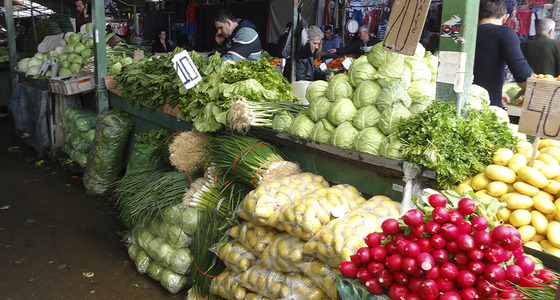 Large thumb dsc02059