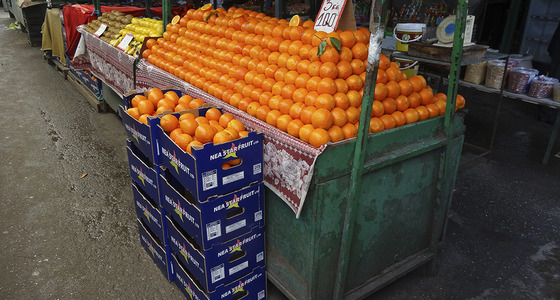 Large thumb dsc02070