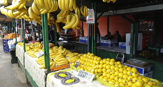 Large thumb dsc02066