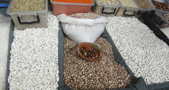 Large thumb dsc02073