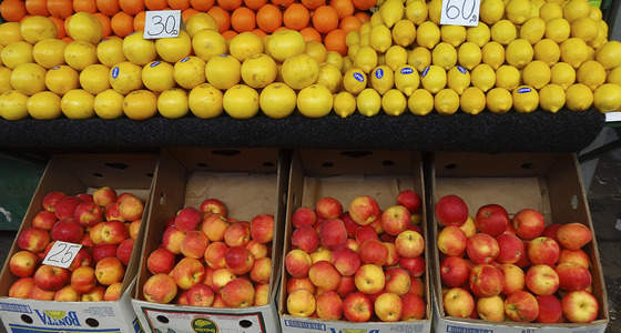 Large thumb dsc02080