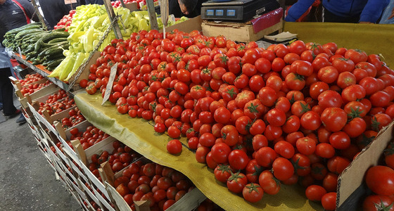 Large thumb dsc02107