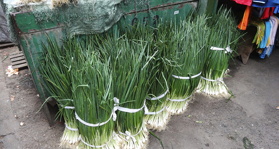 Large thumb dsc02110