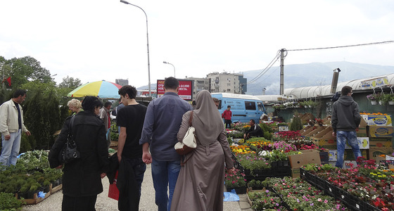 Large thumb dsc02114