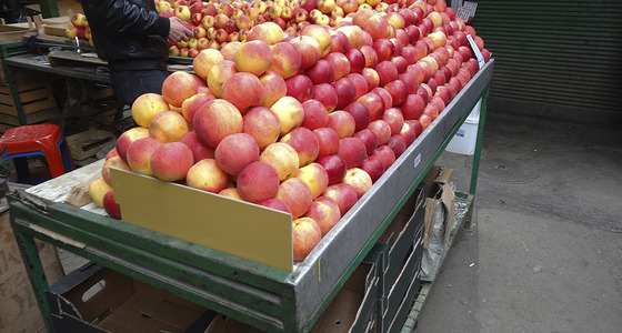 Large thumb dsc02111