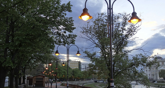 Large thumb pezi 01985