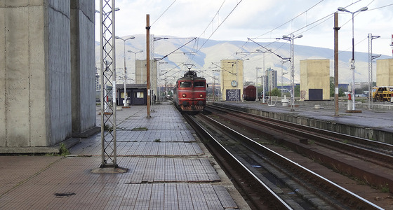 Large thumb dsc01909