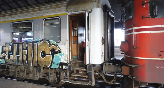 Large thumb dsc01919