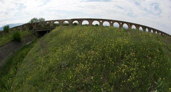 Large thumb 1511018 772935582741454 7957830602291430921 n